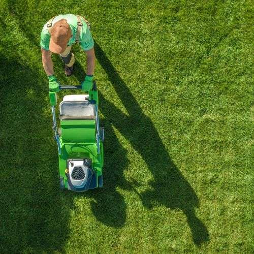 Lawn Care