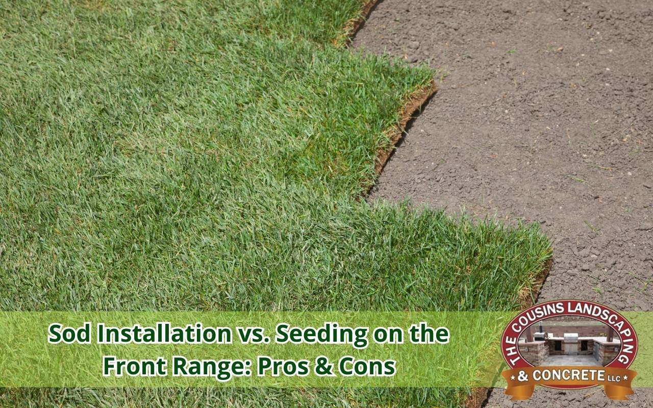 Sod installation vs seeding Colorado on the Front Range