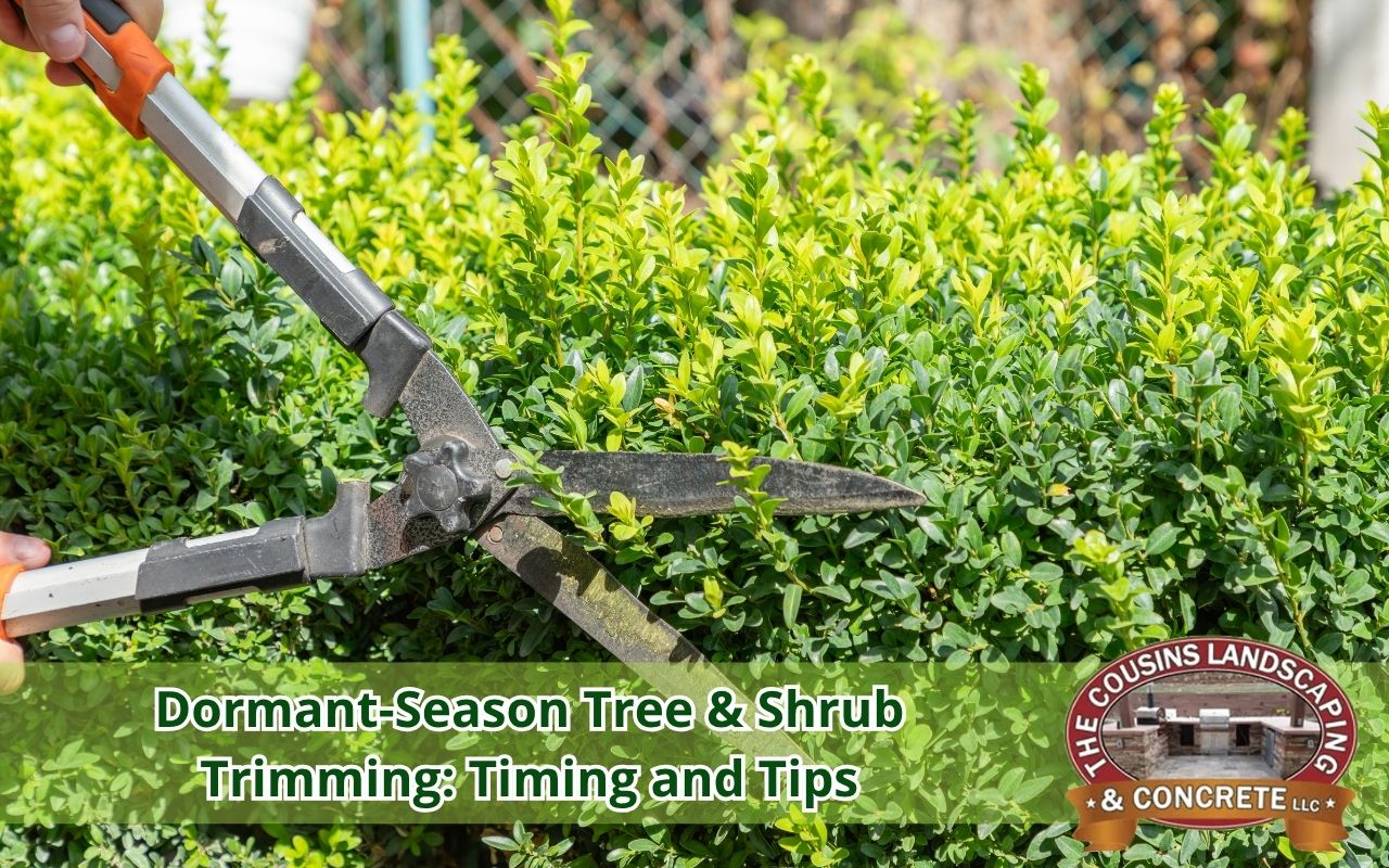 Essential pruning tools used for tree and shrub trimming dormancy Colorado